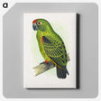 1-30_Parrots-in-Captivity_canvas