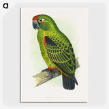 1-30_Parrots-in-Captivity_picture-crop
