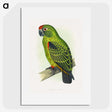 1-30_Parrots-in-Captivity_picture