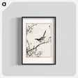 アートポスター-Bush-Warbler and White Plum Tree
 - 鳥類図鑑 Poster.