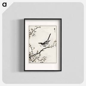 アートポスター-Bush-Warbler and White Plum Tree
 - 鳥類図鑑 Poster.
