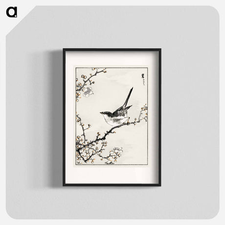 アートポスター-Bush-Warbler and White Plum Tree
 - 鳥類図鑑 Poster.