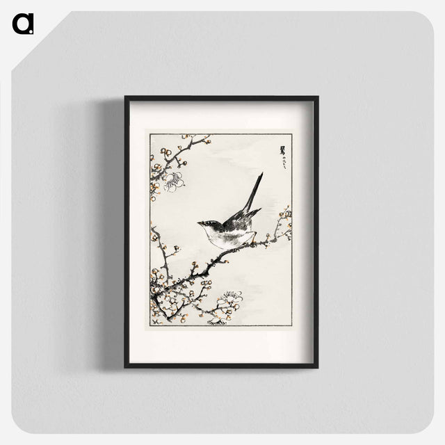 アートポスター-Bush-Warbler and White Plum Tree
 - 鳥類図鑑 Poster.