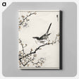 アートパネル-Bush-Warbler and White Plum Tree
 - 鳥類図鑑 Canvas.