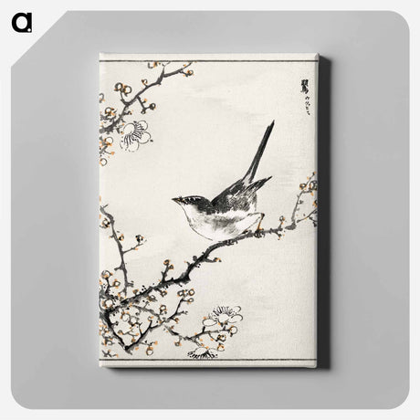 アートパネル-Bush-Warbler and White Plum Tree
 - 鳥類図鑑 Canvas.