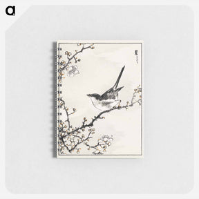 アートメモ帳-Bush-Warbler and White Plum Tree
 - 鳥類図鑑 Memo.