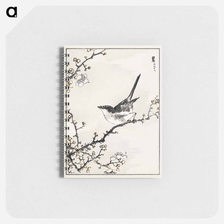 アートメモ帳-Bush-Warbler and White Plum Tree
 - 鳥類図鑑 Memo.