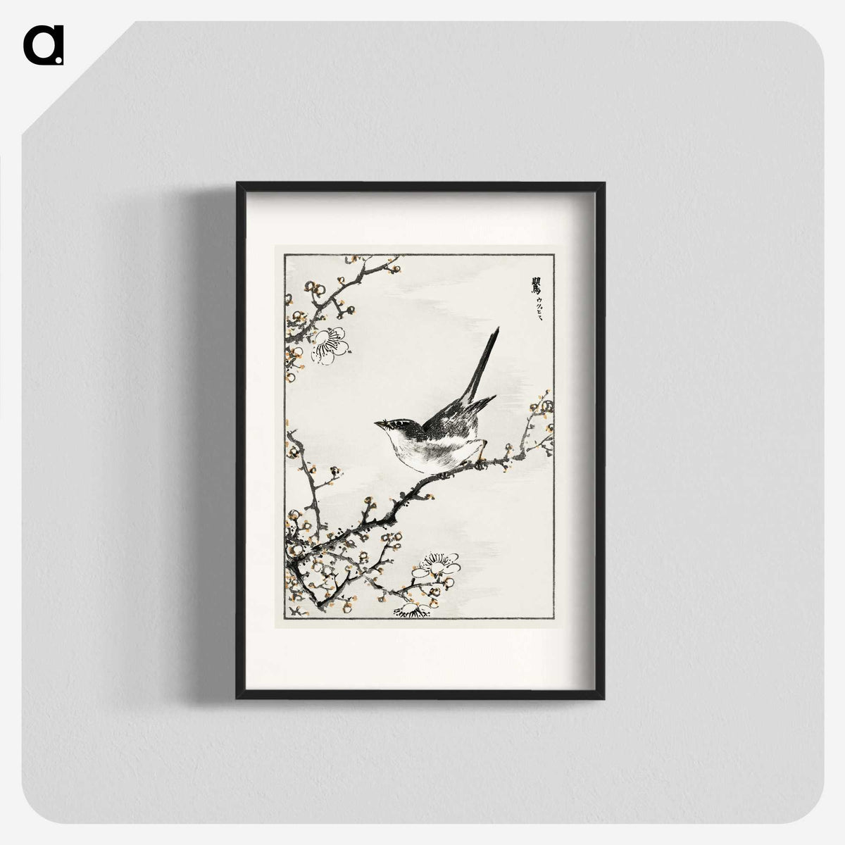 1-30_Pictorial-Monograph-of-Birds_blk