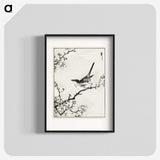 1-30_Pictorial-Monograph-of-Birds_blk