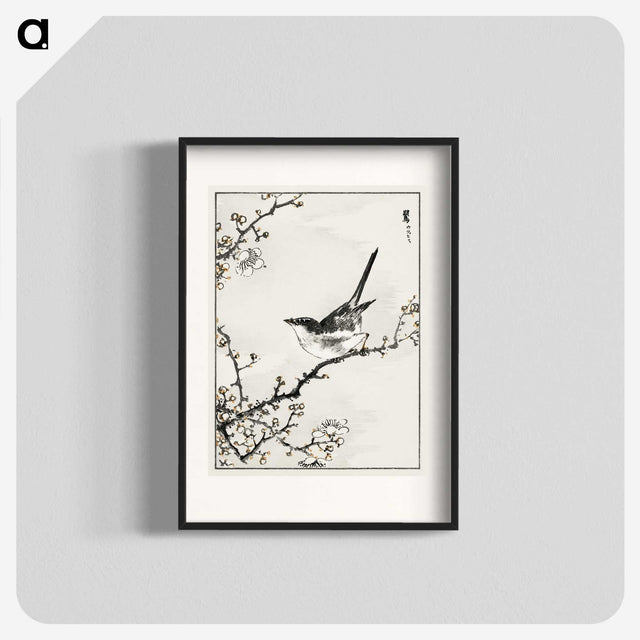 1-30_Pictorial-Monograph-of-Birds_blk