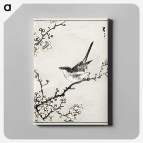 1-30_Pictorial-Monograph-of-Birds_canvas