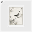 1-30_Pictorial-Monograph-of-Birds_hagaki