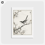 1-30_Pictorial-Monograph-of-Birds_hagaki