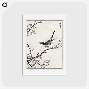 1-30_Pictorial-Monograph-of-Birds_hagaki