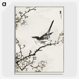 1-30_Pictorial-Monograph-of-Birds_picture-crop