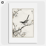 1-30_Pictorial-Monograph-of-Birds_picture