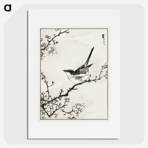1-30_Pictorial-Monograph-of-Birds_picture