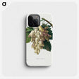 1-30_Pierre-Joseph-Redoute_phone