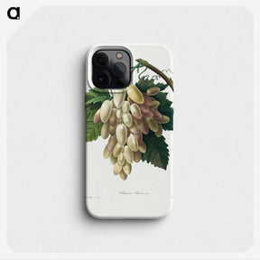 1-30_Pierre-Joseph-Redoute_phone