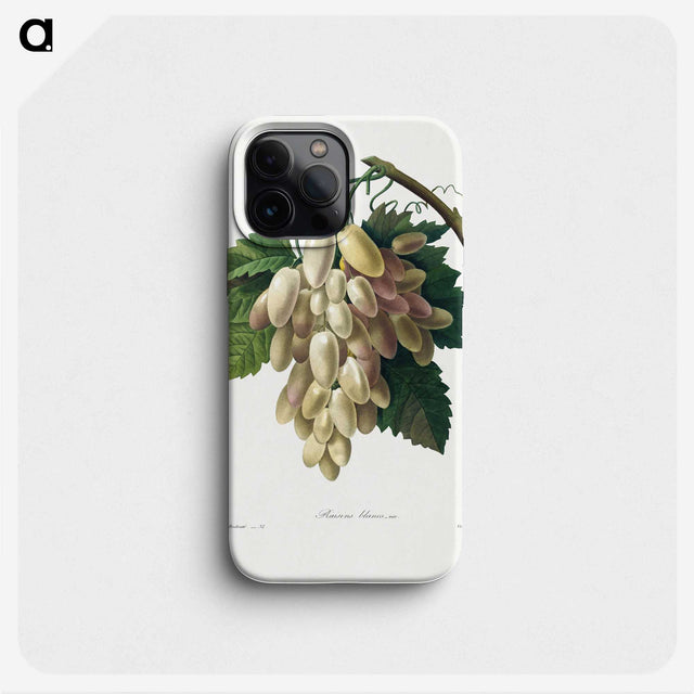 1-30_Pierre-Joseph-Redoute_phone