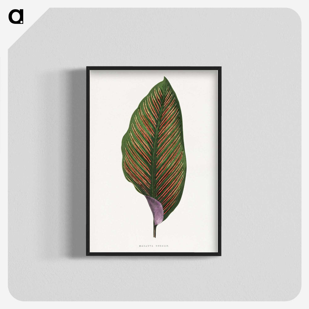 1-30_Plants-with-Colored-Foliage_blk-crop