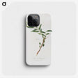 1-30_Pomona-Italiana_phone