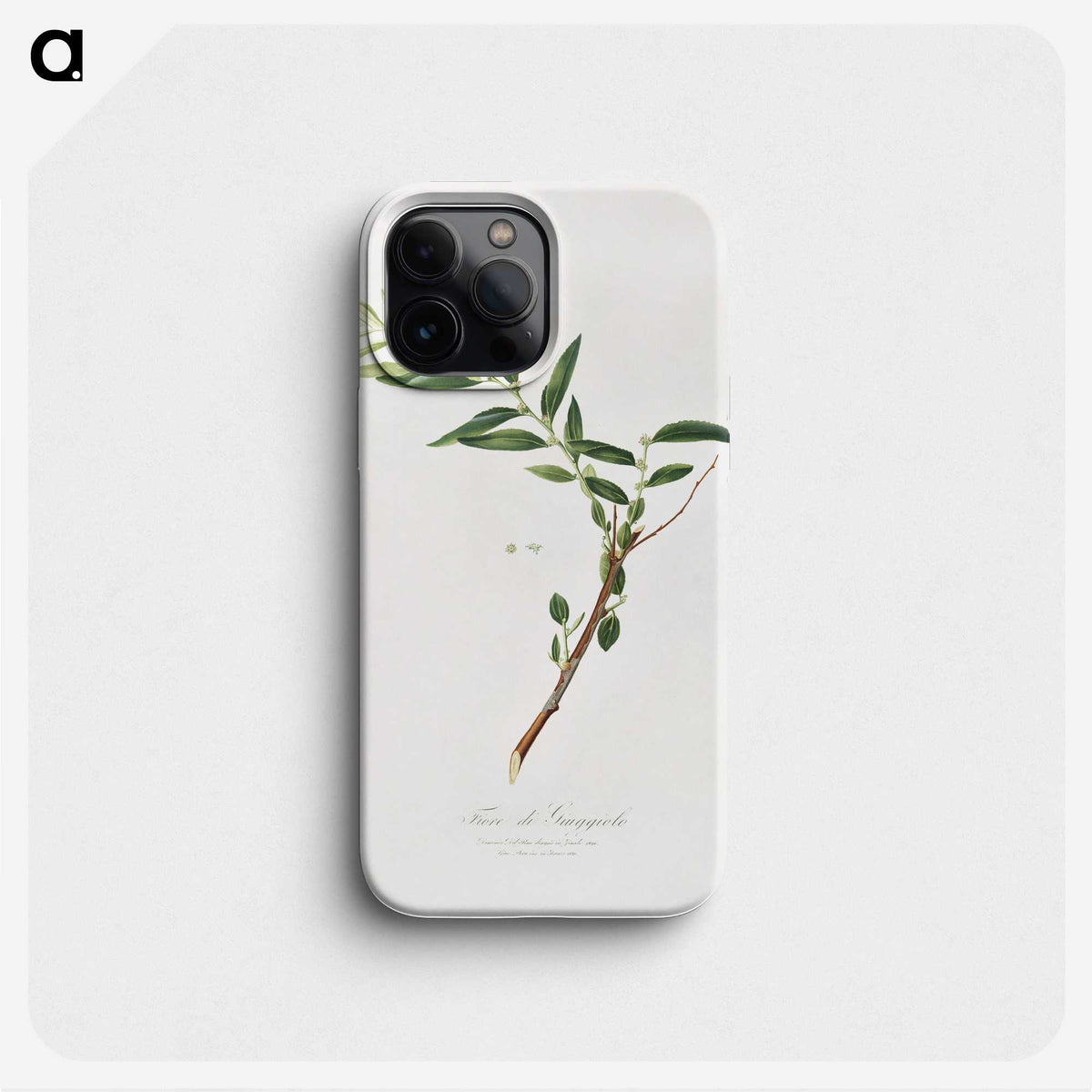 1-30_Pomona-Italiana_phone