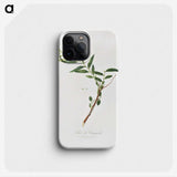 1-30_Pomona-Italiana_phone