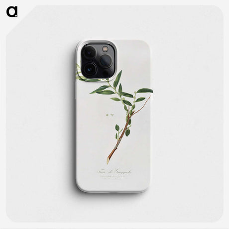 1-30_Pomona-Italiana_phone