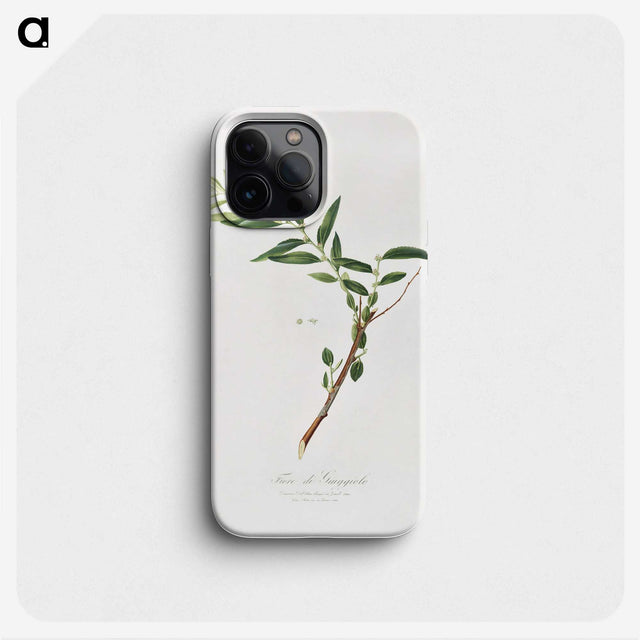 1-30_Pomona-Italiana_phone