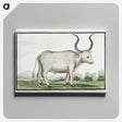 1-30_Robert-Jacob-Gordon_canvas