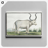 1-30_Robert-Jacob-Gordon_canvas