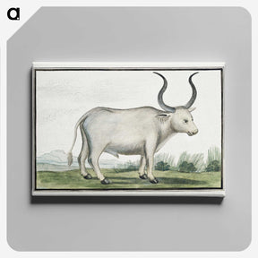 1-30_Robert-Jacob-Gordon_canvas
