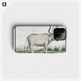 1-30_Robert-Jacob-Gordon_phone