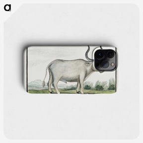1-30_Robert-Jacob-Gordon_phone