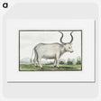 1-30_Robert-Jacob-Gordon_picture