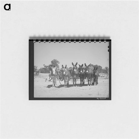 アートメモ帳-Bosley Windmill and Milk-House
 - ラッセル リー Memo.