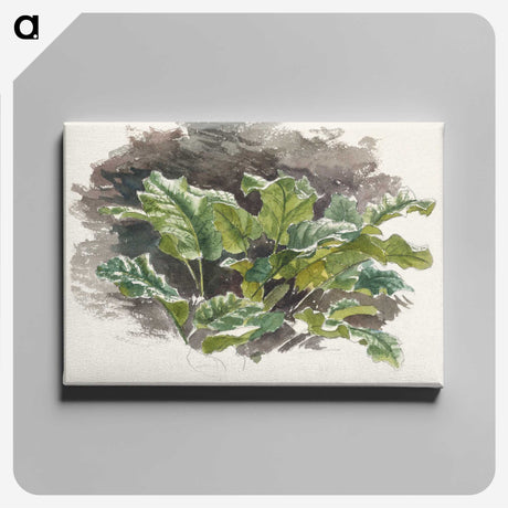1-30_Samuel-Colman_canvas