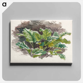 アートパネル-Botanical Study - サミュエル コールマン Canvas.