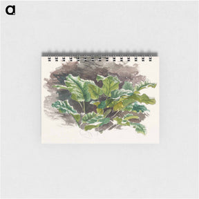 アートメモ帳-Botanical Study - サミュエル コールマン Memo.