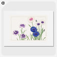 1-30_Seiyo-Soka-Zufu_picture