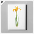 アートパネル-Iris Aurea from The Genus Iris
 - アヤメ属 Canvas.
