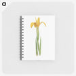 1-30_The-Genus-Iris_memo