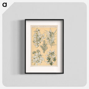 アートポスター-Nineteenth-Century Ornament
 - 装飾の文法 Poster.