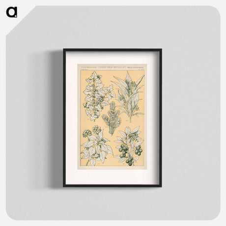 アートポスター-Nineteenth-Century Ornament
 - 装飾の文法 Poster.
