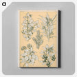 アートパネル-Nineteenth-Century Ornament
 - 装飾の文法 Canvas.