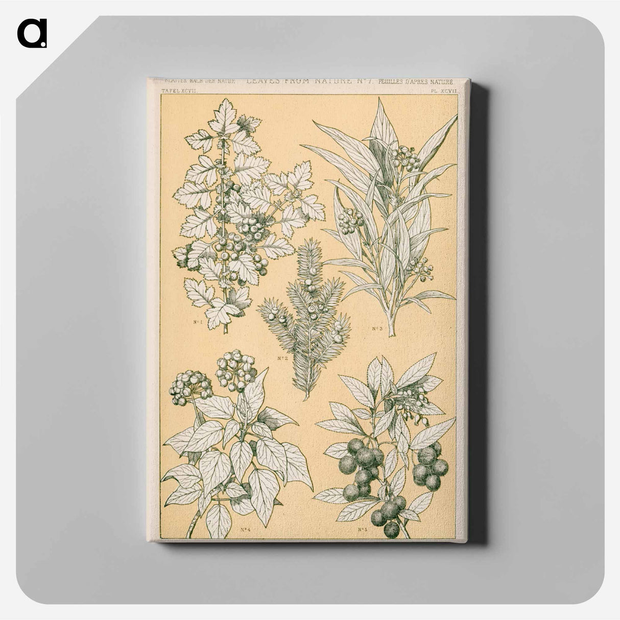 アートパネル-Nineteenth-Century Ornament
 - 装飾の文法 Canvas.