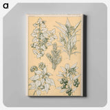 アートパネル-Nineteenth-Century Ornament
 - 装飾の文法 Canvas.