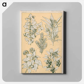 アートパネル-Nineteenth-Century Ornament
 - 装飾の文法 Canvas.