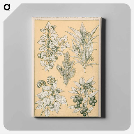 アートパネル-Nineteenth-Century Ornament
 - 装飾の文法 Canvas.